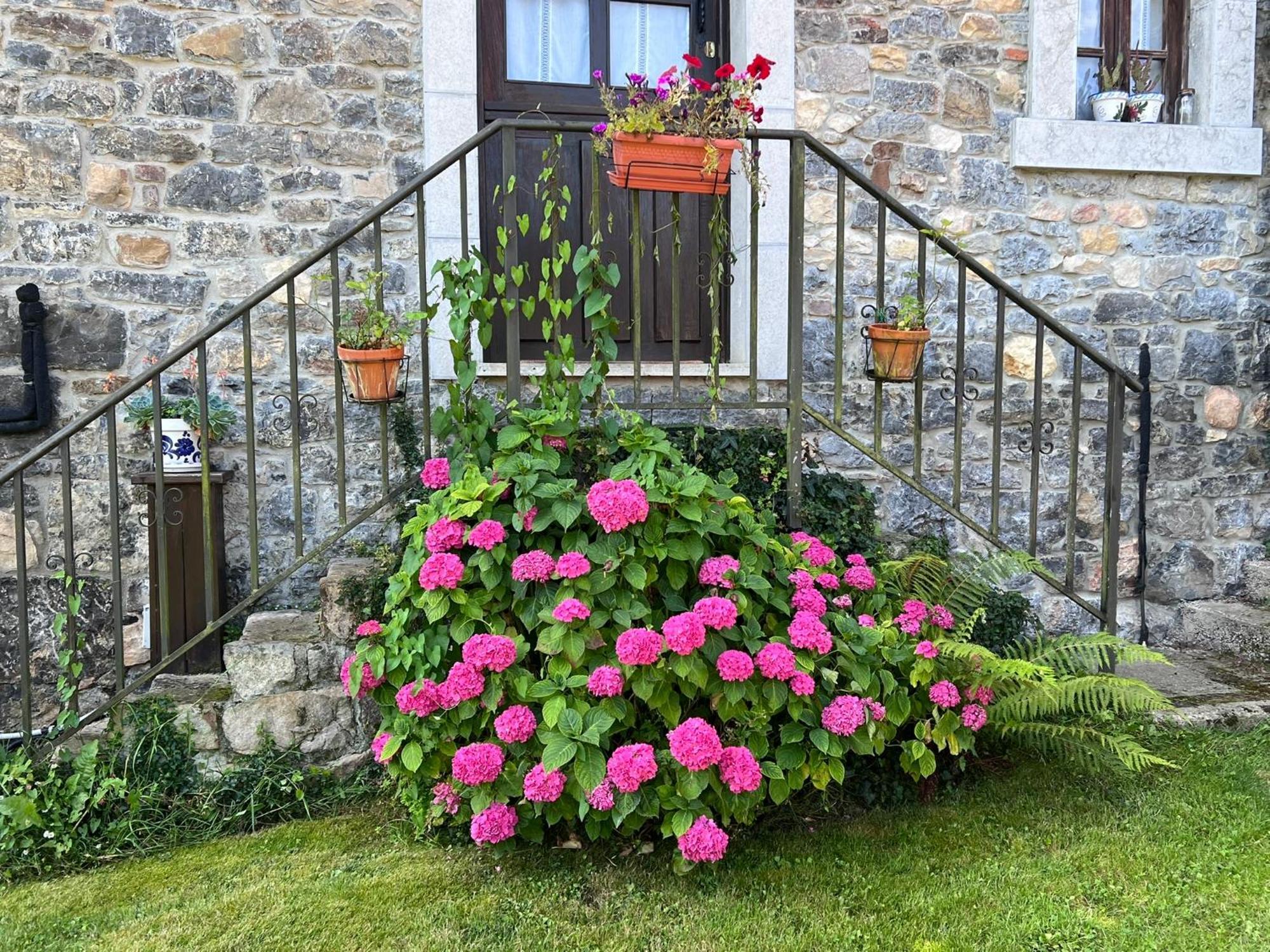 Casa Rural Casa Cerezal Onís المظهر الخارجي الصورة